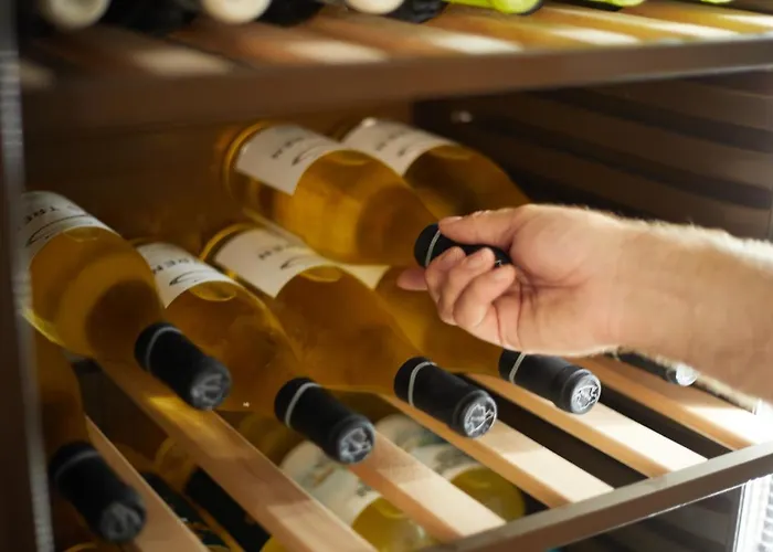 Hotel Js Paradise Sport - Adults Only